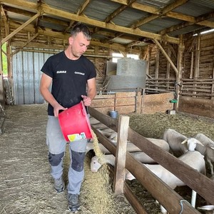 Bastien Tarrade donne à manger aux agneaux de l'exploitation.