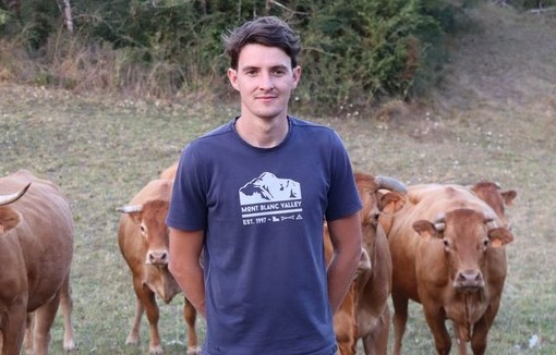 Florian Bonal devant son troupeau de vaches limousines. CP : Florian Bonal