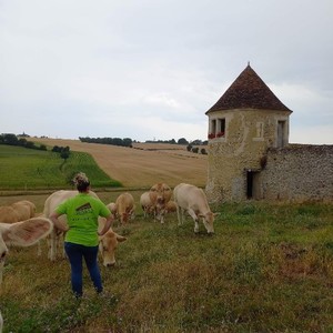 Clémence Daguenet sur son exploitation de Bonneveau.