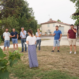 Les administrateurs visitent le vignoble avant la dégustation 