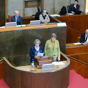 Marie-Noëlle Orain (Groupes Alternatives sociales et écologiques), au Cese, mardi 16 janvier.