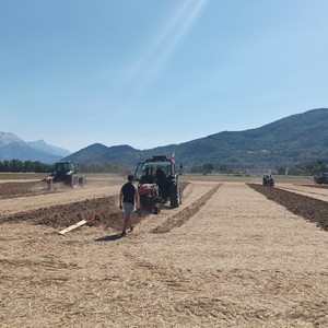 Labour à plat La compétition est lancée !