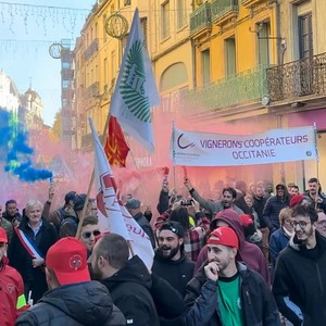 Entre 4 000 et 6 000 vignerons se sont rassemblés le 25 novembre dernier à Narbonne. Entre 4 000 et 6 000 vignerons se sont rassemblés le 25 novembre dernier à Narbonne.