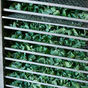 Menthe déshydratée (c) Clémentine Vignon Menthe déshydratée (c) Clémentine Vignon