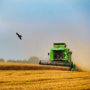 Moissonneuse en pleine action moisson