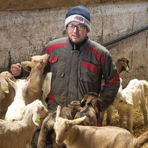 Anselme Basset élève des chèvres et produit du Picodon. Un éleveur à genou entouré de chevreaux.