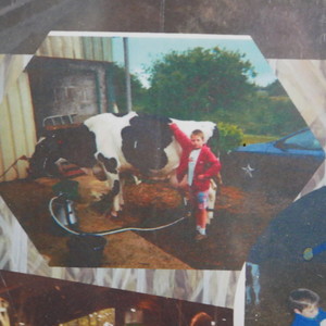 Justin petit auprès de sa vache Giroflée.