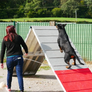 Mélanie fait travailler sa chienne Roxane dans la carrière. 