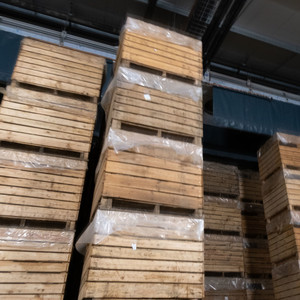 Ensemble de palox stockés avant d’être placés dans les chambres froides. Palox