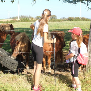 Les enfants ont apprécié la découverte des animaux. Enfants devant les poneys Shetland.