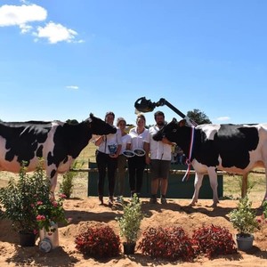 Prim’Holstein Prim’Holstein