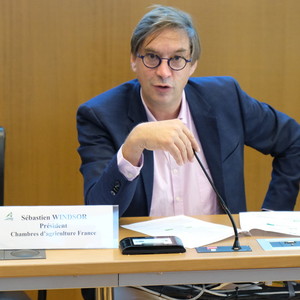 Sébastien Windsor, président de Chambres d'agriculture France lors de la conférence, mercredi 11 septembre 2024. Sébastien Windsor, président de Chambres d'agriculture France lors de la conférence, mercredi 11 septembre 2024.
