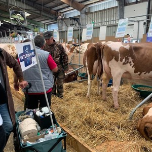 Les vétérinaires veillent au grain. Les vétérinaires veillent au grain.