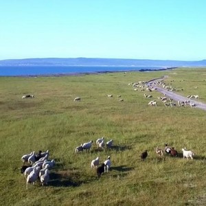 Un PAT a été signé sur l'ile de Saint-Pierre-et-Miquelon. Un PAT a été signé sur l'ile de Saint-Pierre-et-Miquelon.