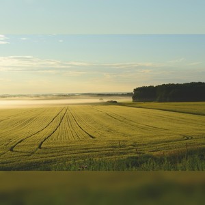 Foncier agricole. Foncier agricole.