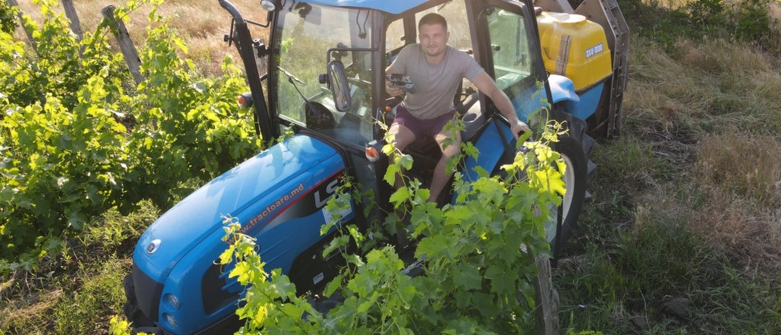 Nicu Ulinici, 33 ans, en plein entretien de ses vignes. Nicu Ulinici, 33 ans, en plein entretien de ses vignes.