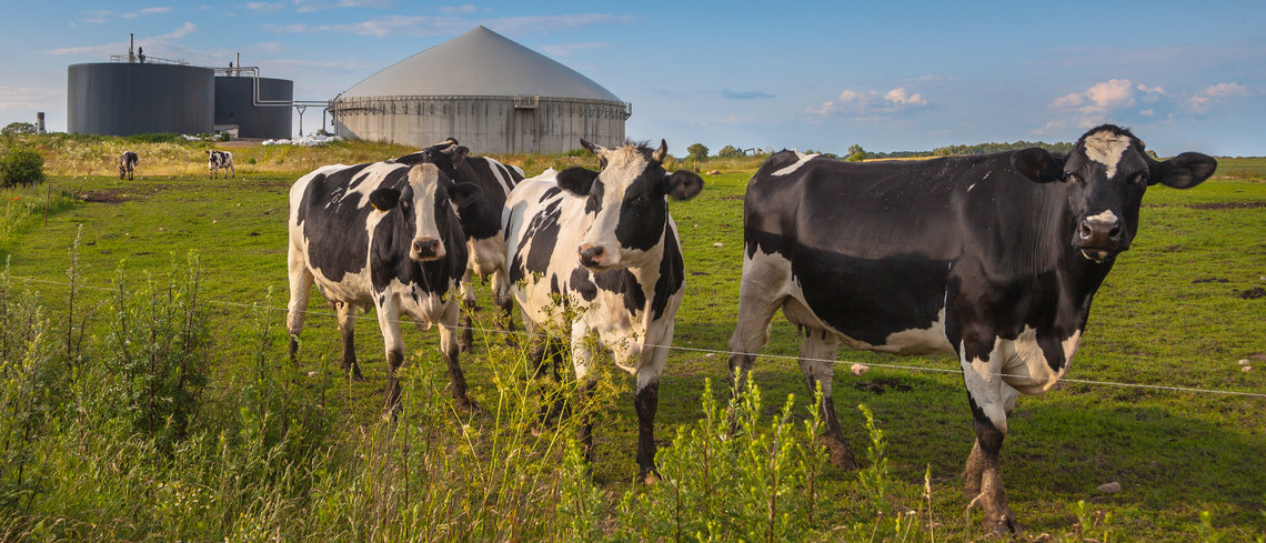   FEVE et la FNAB ont annoncé, le 24 février 2026 au Salon de l’agriculture, un partenariat inédit pour faciliter l’accès au foncier.