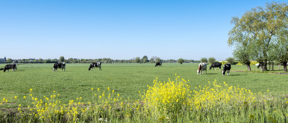 La stratégie « De la ferme à la table » adoptée par le Parlement 