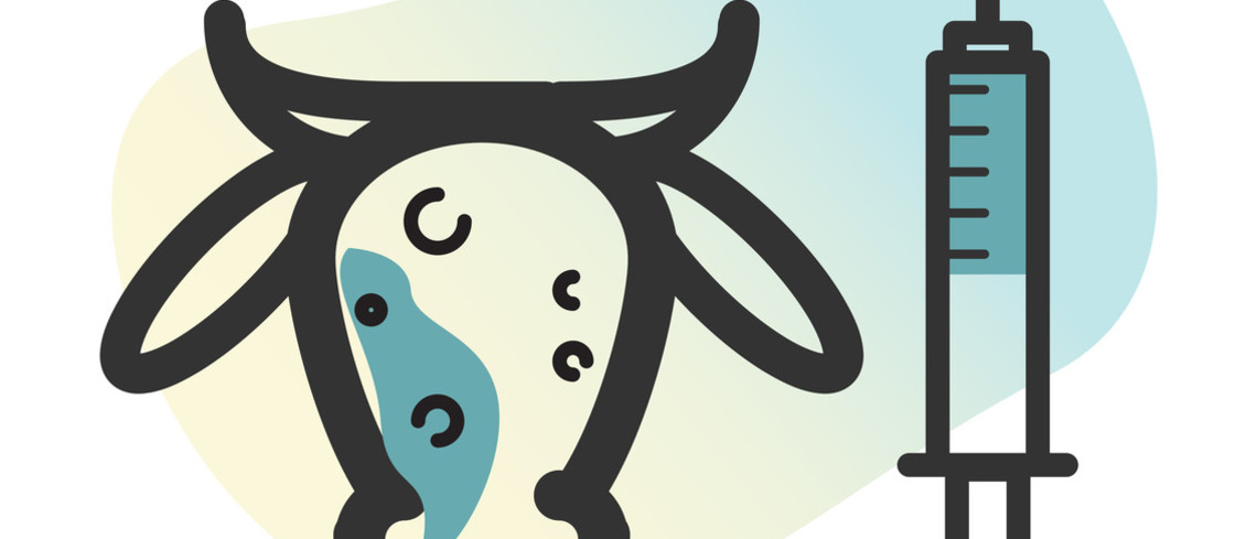 DNC - Illustration vaccination vache.