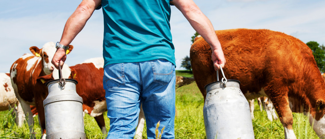 Arrêt de la collecte de lait bio en Bretagne. Arrêt de la collecte de lait bio en Bretagne.