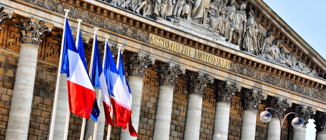 Record de groupes à l'Assemblée nationale. Record de groupes à l'Assemblée nationale.