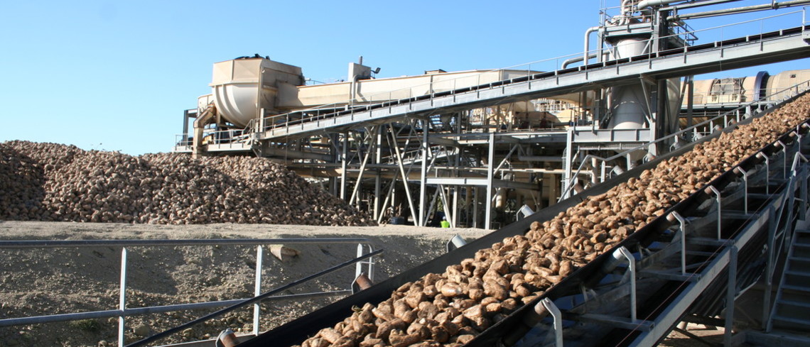 Avec la crise du Covid-19, les cours du sucre se sont effondrés, tout comme ceux de l’éthanol, ce qui risque de se répercuter sur le prix des betteraves Betteraves travaillées en sucrerie