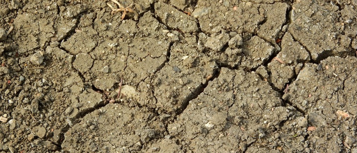 « Les sécheresses des sols ont augmenté depuis 1960 en France » sol craquelé