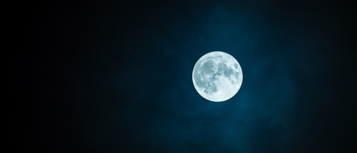Quatre types de graines ont germé pour la première fois sur la lune. Pleine lune.