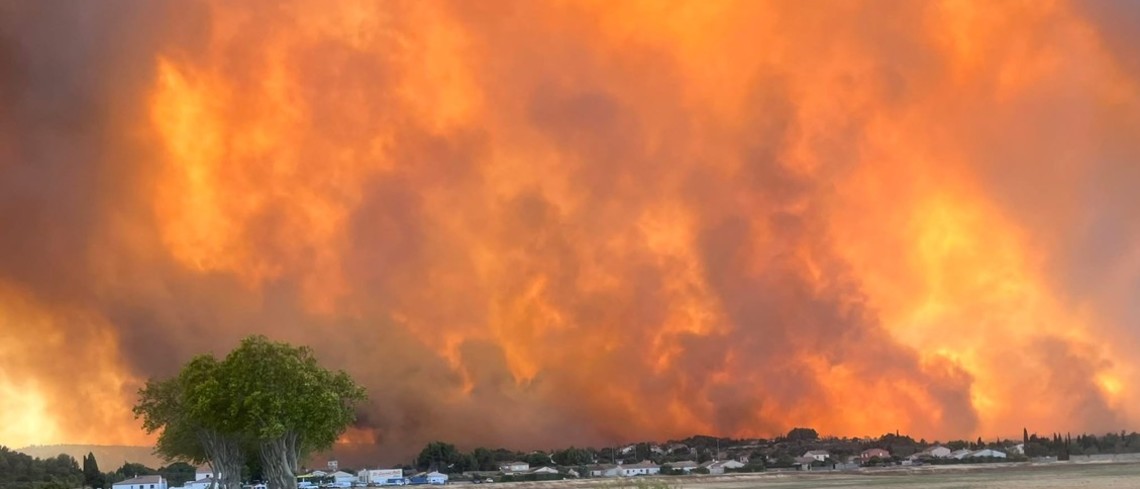 Forêts de Gironde et des Landes : un arrêté pour accélérer la sécurisation.