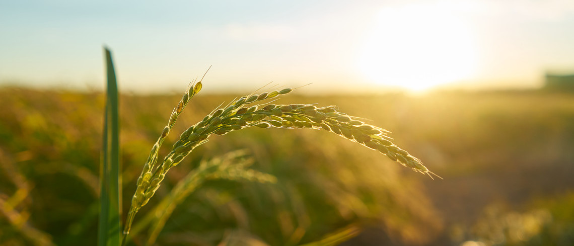 La semaine de l’agriculture française, c’est parti !