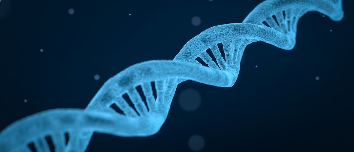Sélection végétale : les NBT animent scientifiques et parlementaires ADN
