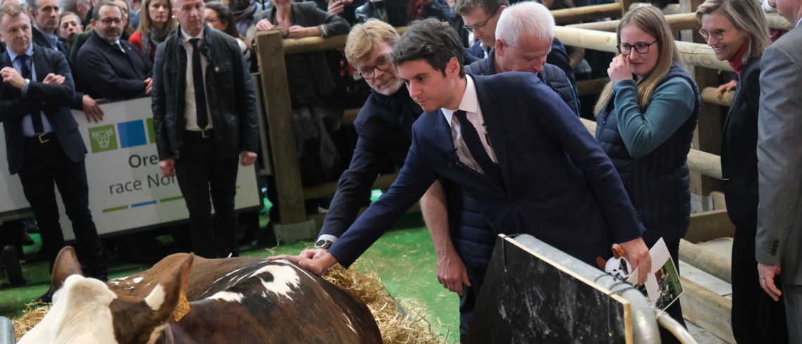 Gabriel Attal et Marc Fesneau sont allés à la rencontre de la vache égérie du salon. Gabriel Attal et Marc Fesneau sont allés à la rencontre de la vache égérie du salon.
