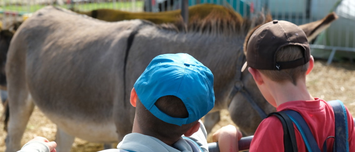 La journée du vendredi est traditionnellement dédiée aux enfants. La journée du vendredi est traditionnellement dédiée aux enfants.