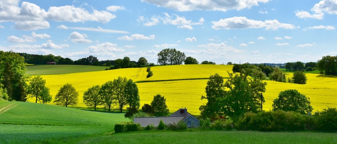 La profession agricole martèle la nécessité d’une loi foncière Paysage agricole