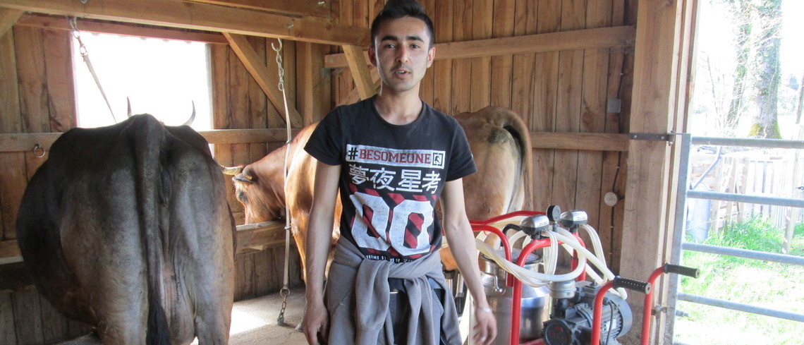 Adeel, salarié d'Yvan Adeel dans la salle de traite. Le lait sera porté dans la fromagerie