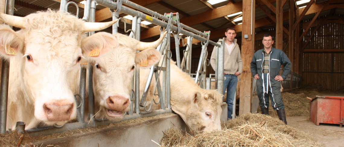 L’avantage fiscal et social relatif aux stocks de vaches effectif, et rétroactif à 2024. L’avantage fiscal et social relatif aux stocks de vaches effectif, et rétroactif à 2024.