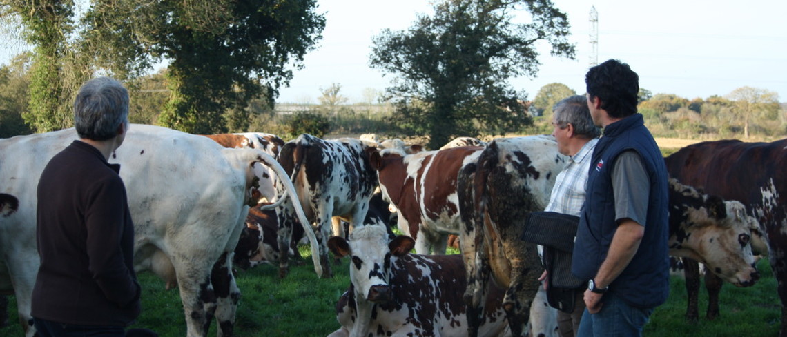 Agriculture : lancement du dispositif « un jeune, une solution » un jeune en compagnie d'un couple d'éleveurs
