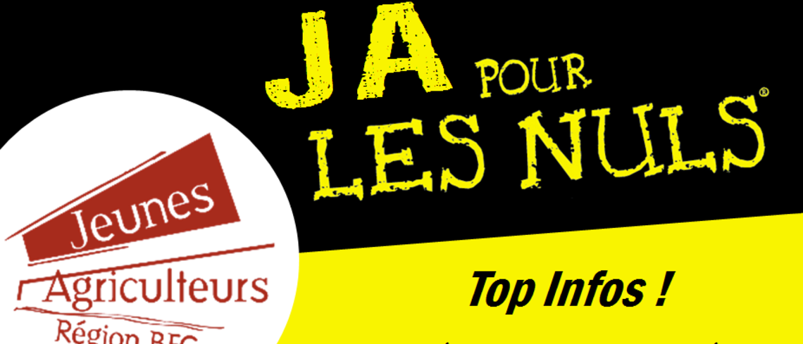 Une charte graphique a été crée pour l'occasion ! La charte graphique de JA pour les Nuls.