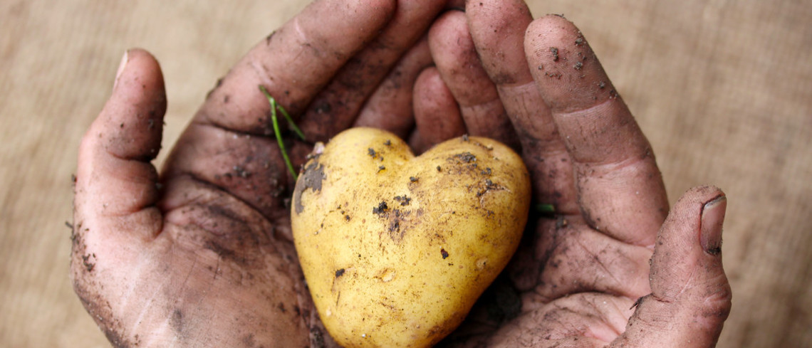 Lancement de l’opération « J’aime mes agriculteurs ! » Lancement de l’opération « J’aime mes agriculteurs ! »