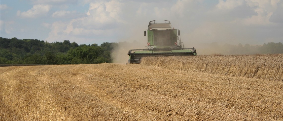 Le rendement moyen national en blé tendre est estimé à 68,3 q/ha en 2020 Recolte de blé tendre
