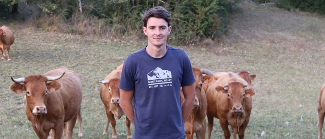 Florian Bonal devant son troupeau de vaches limousines. CP : Florian Bonal