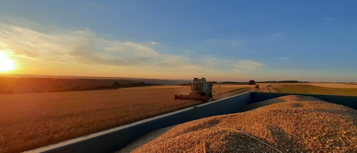 La moisson 2020 dans l’œil des JA 