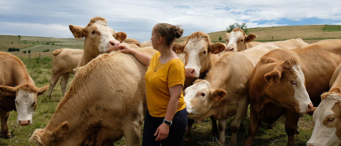 Qui sont les femmes non-salariées agricoles ? Qui sont les femmes non-salariées agricoles ?