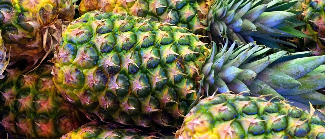 L’Europe des tropiques Ananas