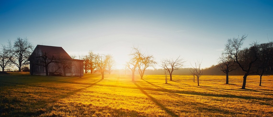 Les chambres d’agriculture ont du pain sur la planche en 2021 Les chambres d’agriculture ont du pain sur la planche en 2021
