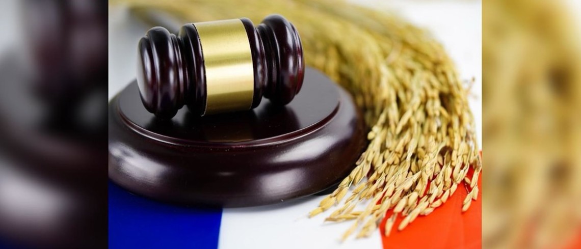Le Conseil constitutionnel a jugé nécessaire de censurer a censurer 14 articles en intégralité et trois articles de manière partielle. Le Conseil constitutionnel a jugé nécessaire de censurer a censurer 14 articles en intégralité et trois articles de manière partielle.