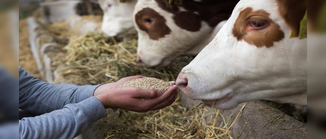 13ème convention annuelle sur le thème : «En avant pour une souveraineté durable de l’élevage européen !»