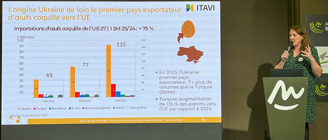 SOMMET : Situation économique des filières avicoles. 7 octobre 2026