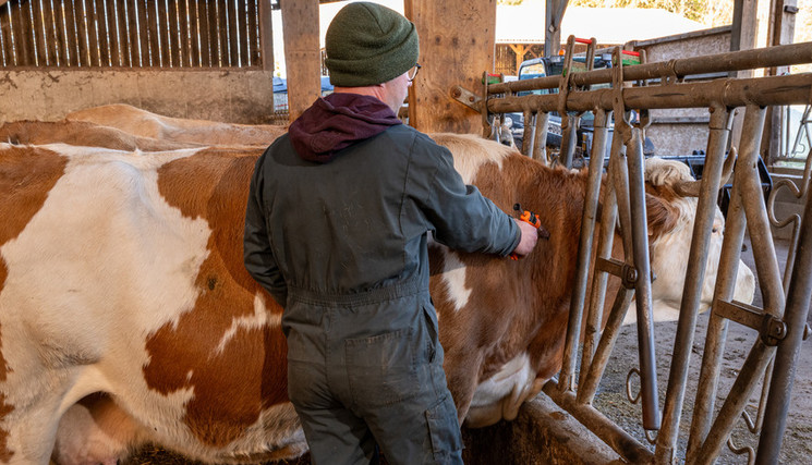 Jeunes Agriculteurs, la FNSEA, la FNB et la FNPL sont favorables au maintien de l’immunité vaccinale pour toutes les zones.