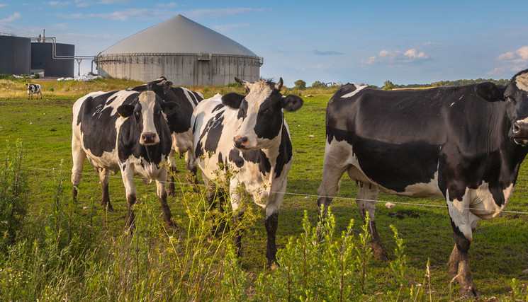   FEVE et la FNAB ont annoncé, le 24 février 2026 au Salon de l’agriculture, un partenariat inédit pour faciliter l’accès au foncier.